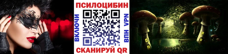 это клад  купить наркотик  Мезень  Галлюциногенные грибы Cubensis 